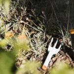 Gardening fork and spade in garden of flowers