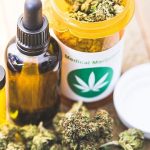 best cbd oil canada